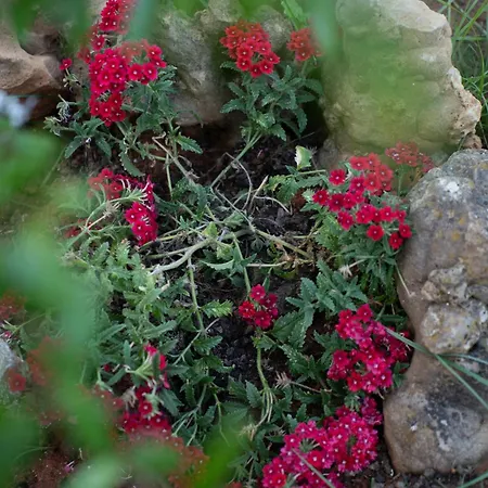 Cozy W Rustic Charm & Private Garden *